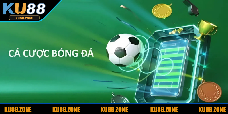 Bật mí những ưu thế nổi trội hàng đầu 2025 cho newbie